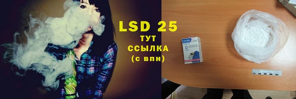 трава Аркадак