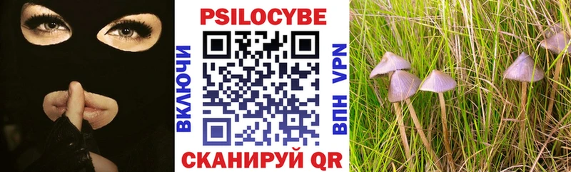 Галлюциногенные грибы Magic Shrooms  Купить закладки  Каменногорск 